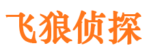 环江市调查公司